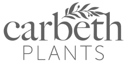 Carbeth Plants